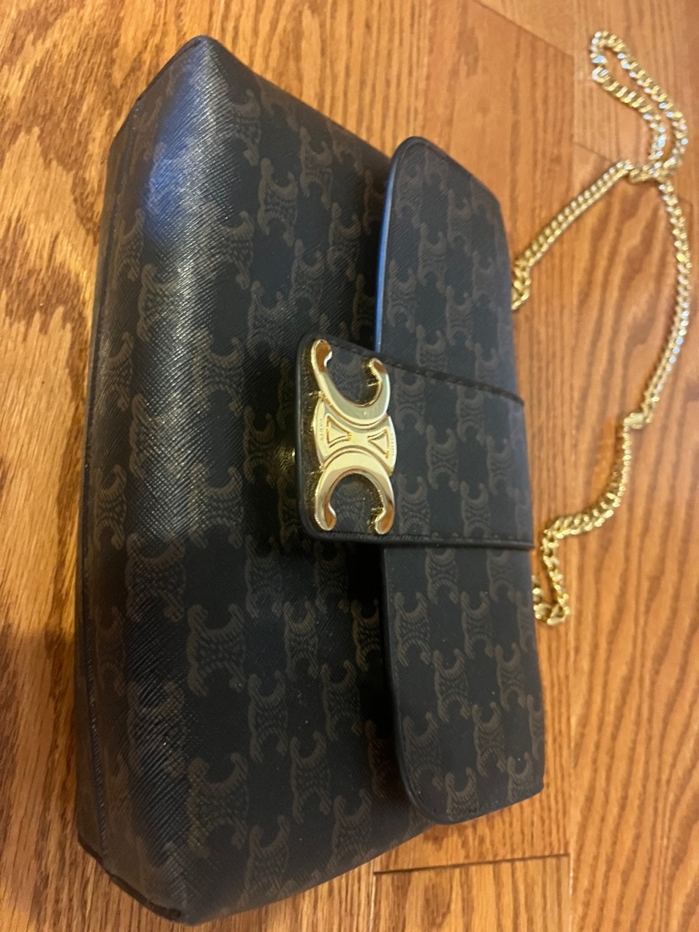 Celine Victoire Bag